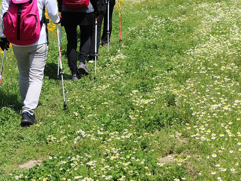 ノルディックウォーキング